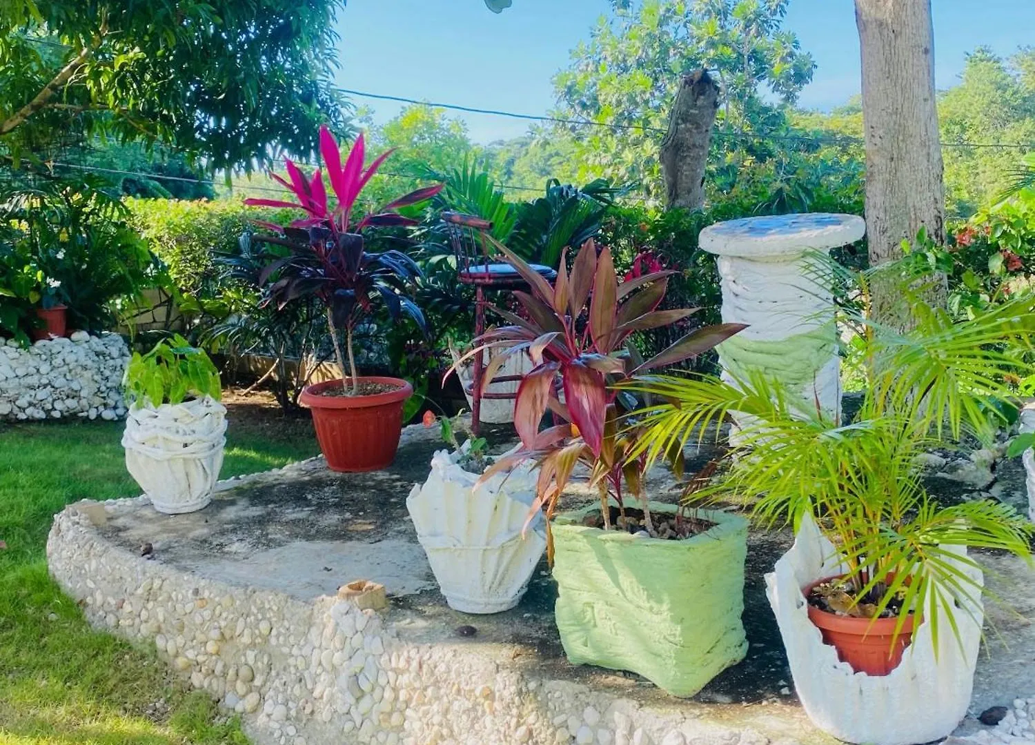 Daire Cindy'S Garden Stay Ocho Rios