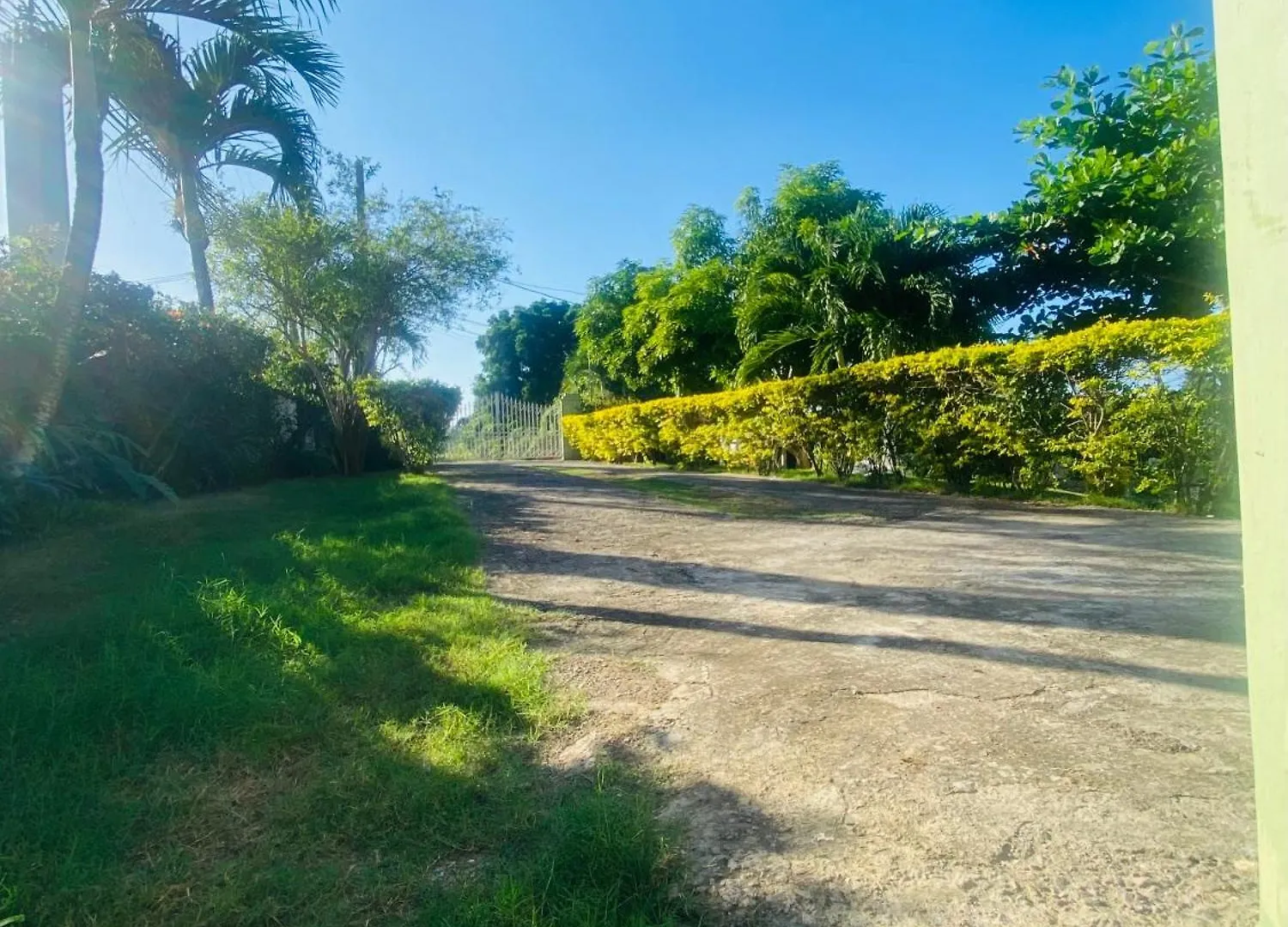 Cindy'S Garden Stay Ocho Rios Appartement
