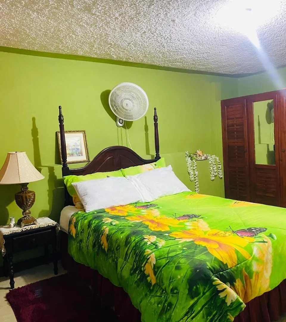 Daire Cindy'S Garden Stay Ocho Rios